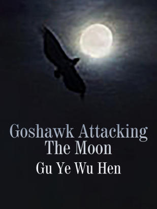 Goshawk Attacking The Moon